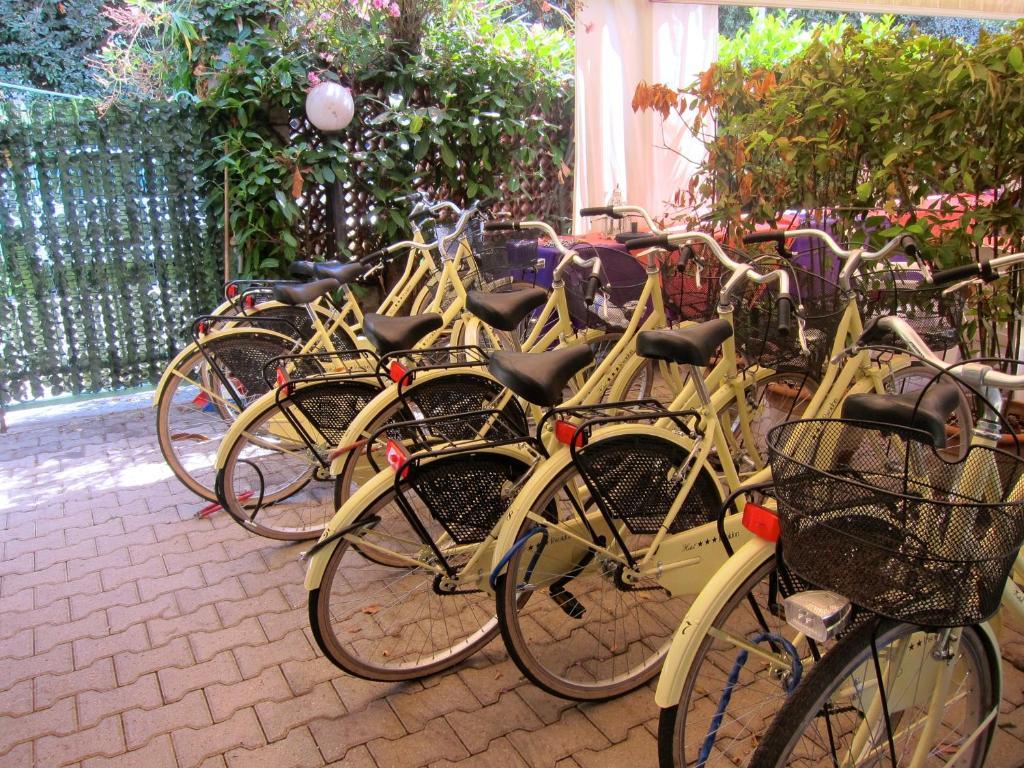 Hotel Poseidon Marina di Pietrasanta Dış mekan fotoğraf
