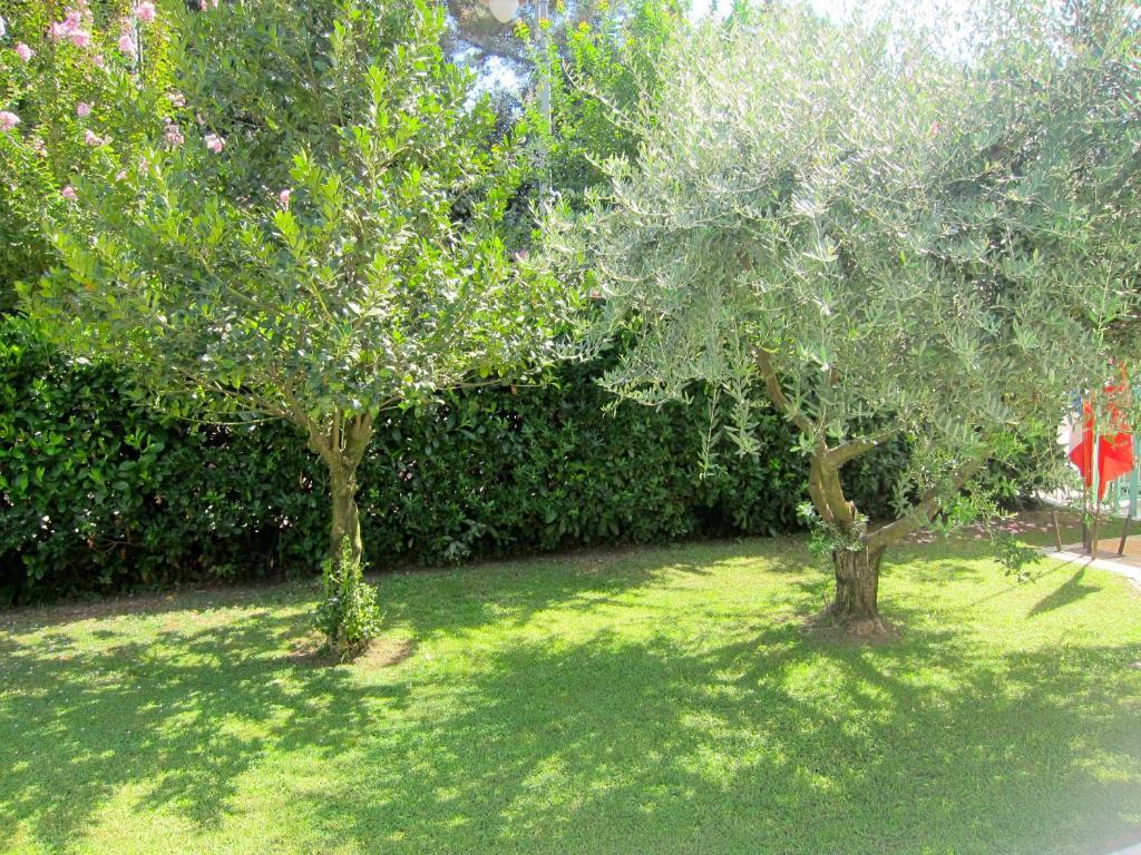 Hotel Poseidon Marina di Pietrasanta Dış mekan fotoğraf